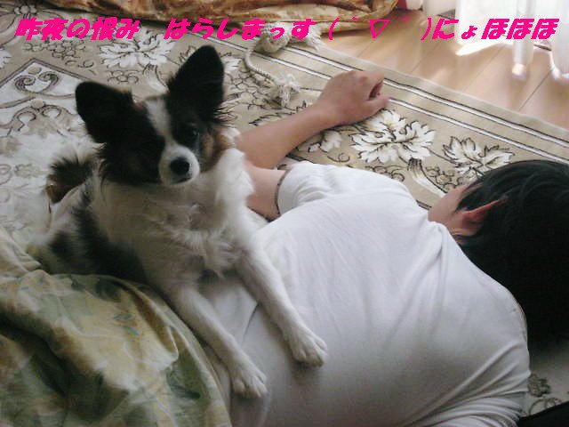 a0149240_9123160.jpg