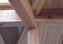 b0075140_1431298.jpg