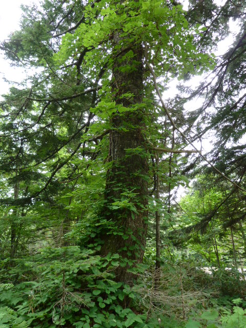 b0190242_22105577.jpg