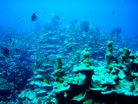 f0014842_15494589.jpg