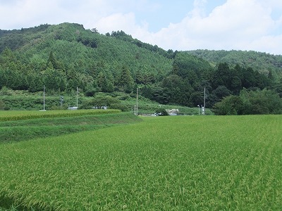 e0173645_2320763.jpg