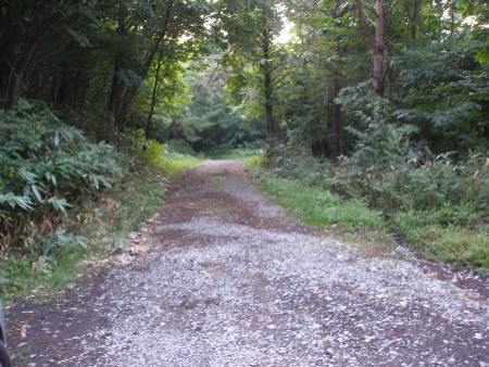 c0037553_1713408.jpg
