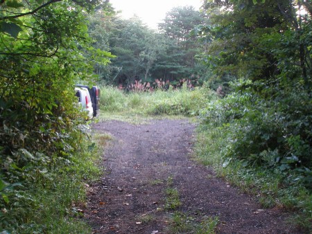 c0037553_1718032.jpg