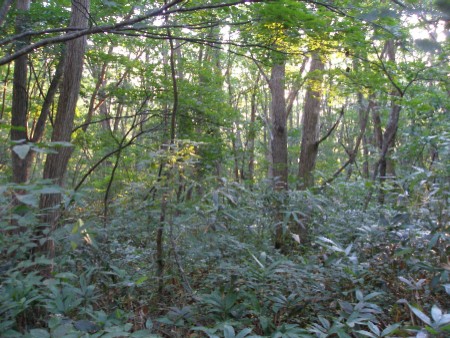 c0037553_17195598.jpg