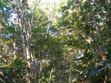 c0037553_17204462.jpg