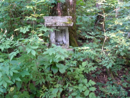 c0037553_17251218.jpg