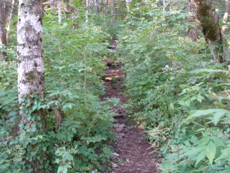 c0037553_17263352.jpg