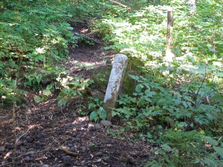 c0037553_17272244.jpg