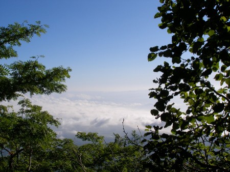 c0037553_17324175.jpg