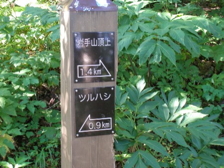 c0037553_17332745.jpg