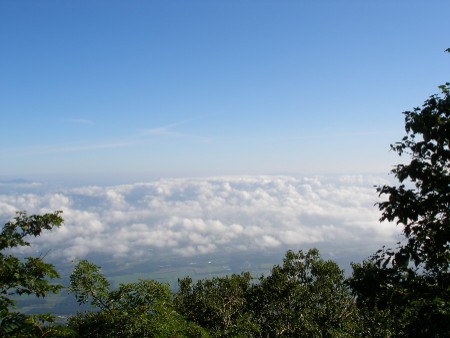 c0037553_17403881.jpg