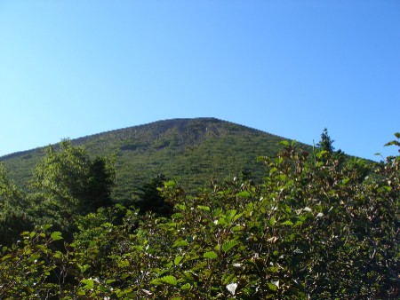 c0037553_17425616.jpg