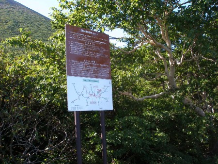 c0037553_17444070.jpg