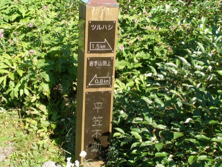 c0037553_1749479.jpg