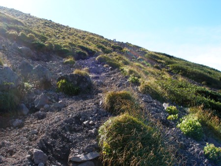c0037553_185556.jpg