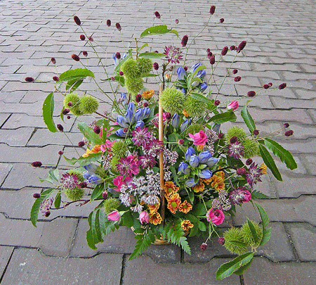 a0001354_20113952.gif