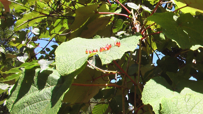 b0208961_981599.jpg