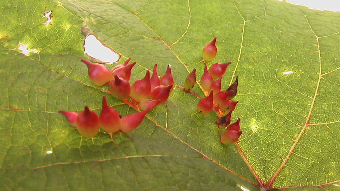 b0208961_98375.jpg