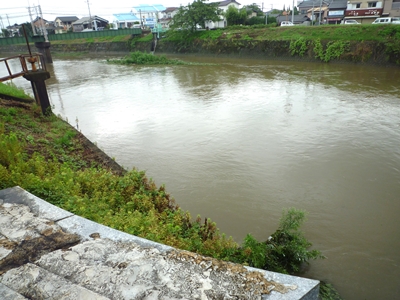 c0222861_20522389.jpg