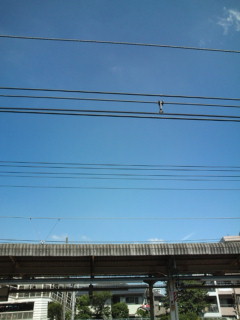 d0187864_17523312.jpg