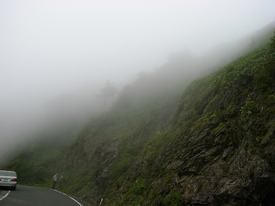 d0128465_7221153.jpg