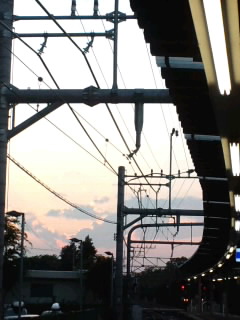 c0110074_23551522.jpg