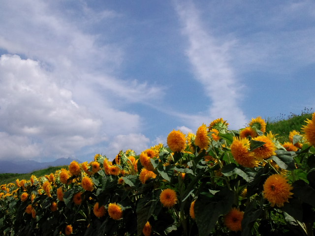 d0147774_2172682.jpg