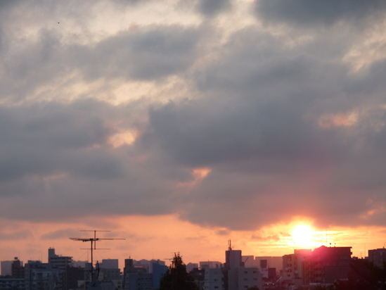 e0207477_8463382.jpg