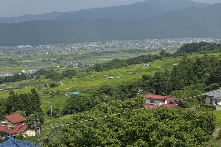 b0102780_2364059.jpg