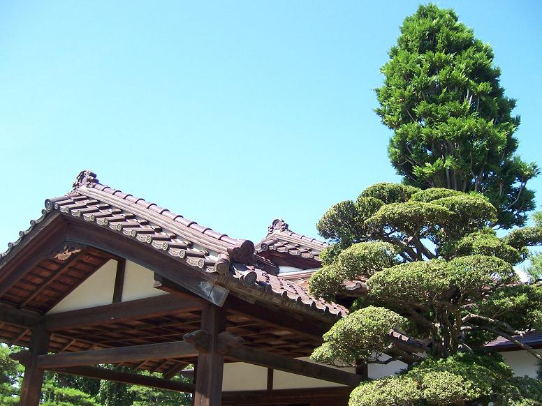 c0198781_044366.jpg
