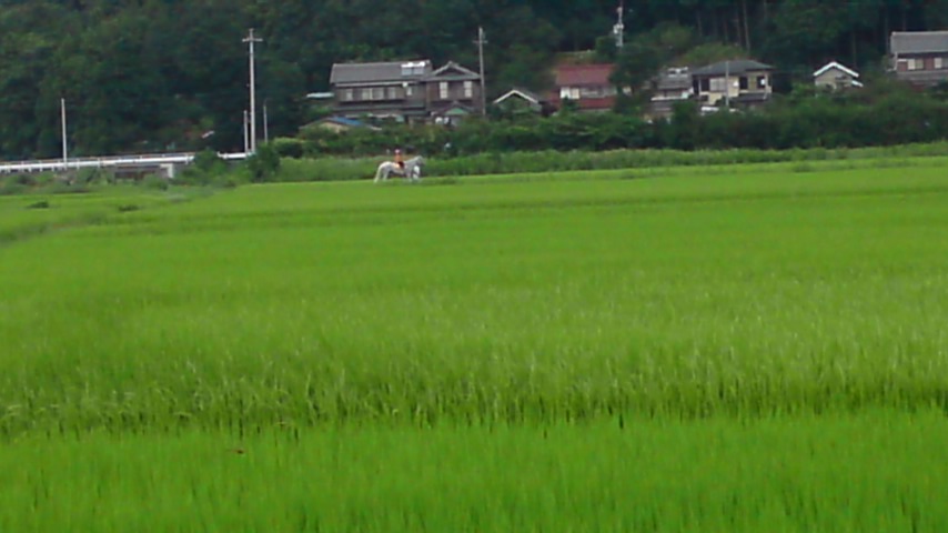 e0121583_21464989.jpg