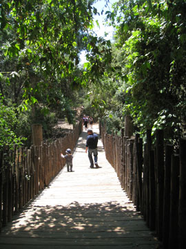f0068883_14493618.jpg