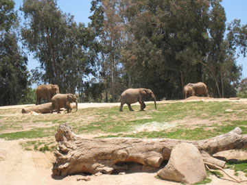 f0068883_1450836.jpg