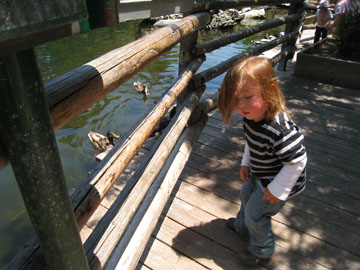 f0068883_14535093.jpg