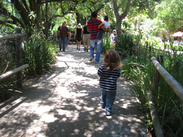 f0068883_1533329.jpg