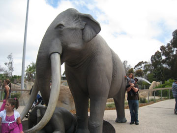 f0068883_15374660.jpg
