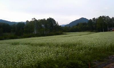 a0130586_19412270.jpg