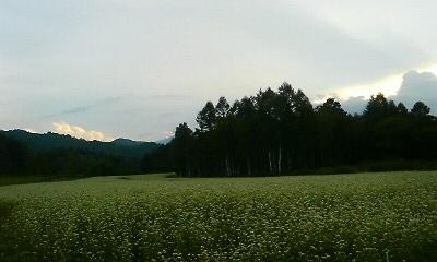 a0130586_19415694.jpg