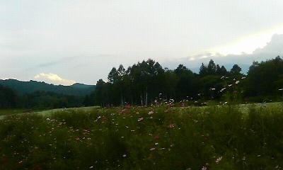 a0130586_19425342.jpg