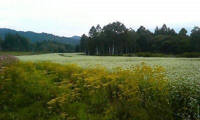 a0130586_19491953.jpg