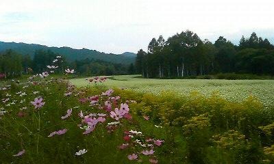 a0130586_19501564.jpg
