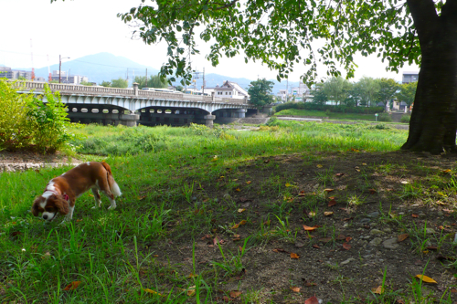a0079292_155490.jpg