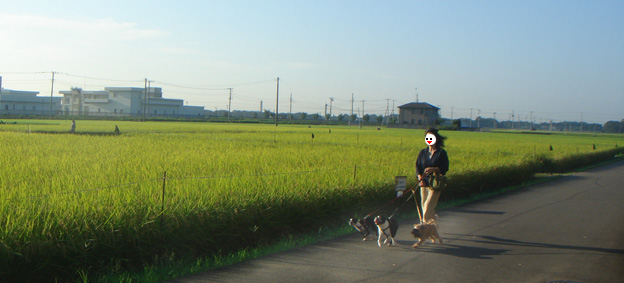 c0094999_11321552.jpg