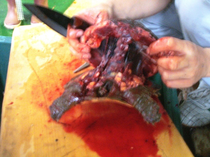 e0204899_14512678.jpg