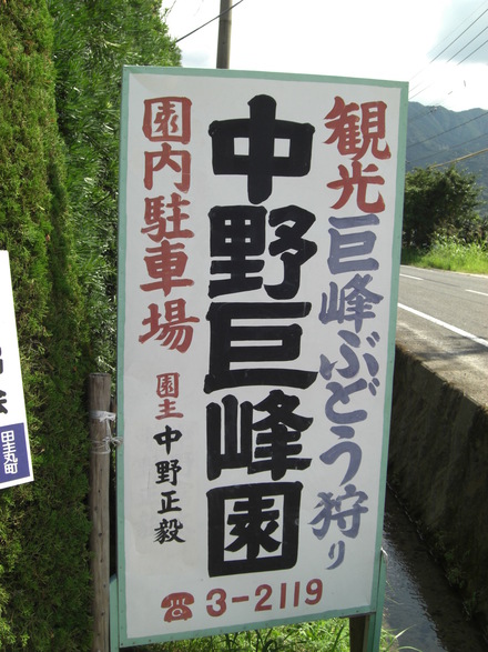 c0137300_7135212.jpg