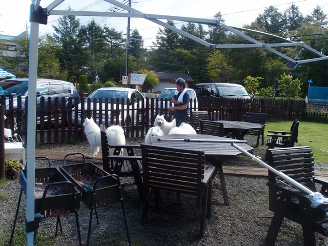 e0018604_1795167.jpg