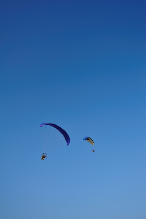d0119505_4333950.jpg