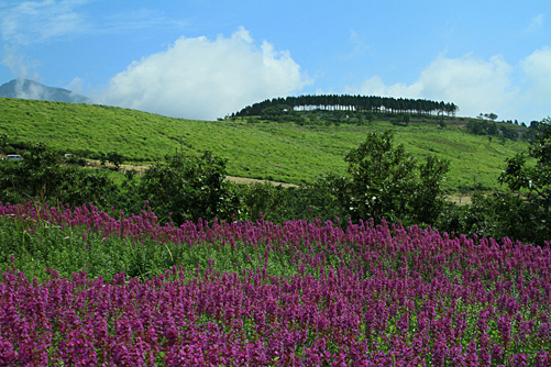 b0014607_9224092.jpg