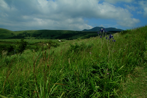 b0014607_924429.jpg