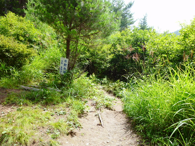 d0170615_210436.jpg